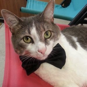 Meet your Posher, Gabrielle